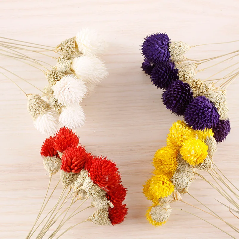 Yunnan Dried Flowers Colorful Strawberry Fruit Floral Arrangements Bouquets Material Dry Flowers Decorations