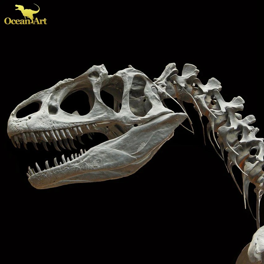Amusement Park Full Size Replica T Rex Dinosaur Skeleton Model For Sale
