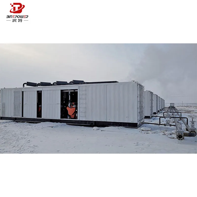 2000kw 3000kVA High Quality Gas gas CHP Heat Powered Generator