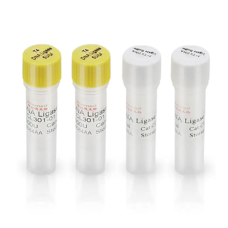 Competitive Price Professional Reagent T4 DNA Ligase