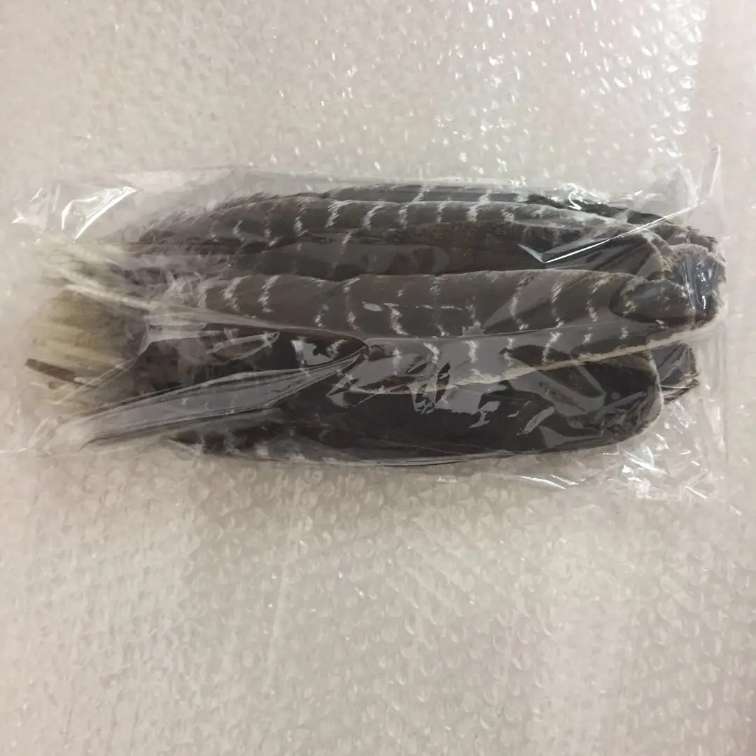  Spot wholesale High Quality Feather diy turkey feather 15-30cm
