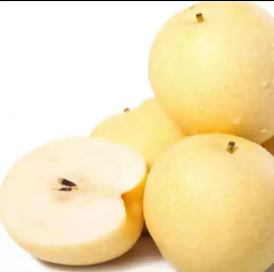 Fresh pear China high quality fresh fruit sweet pear newest crop Shandong ya pear