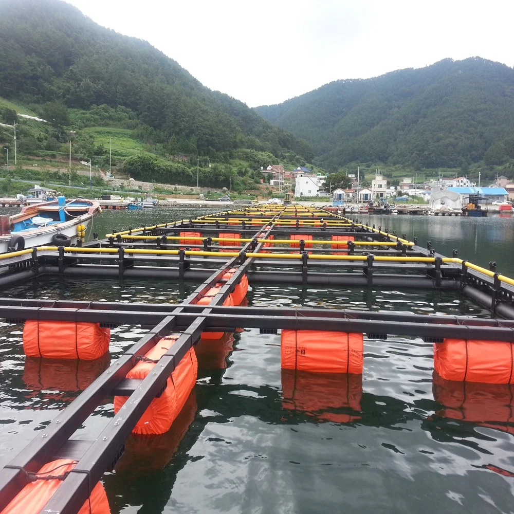 HDPE Floating Pontoon Fish Farming Cages for Deep Sea Fish Farming