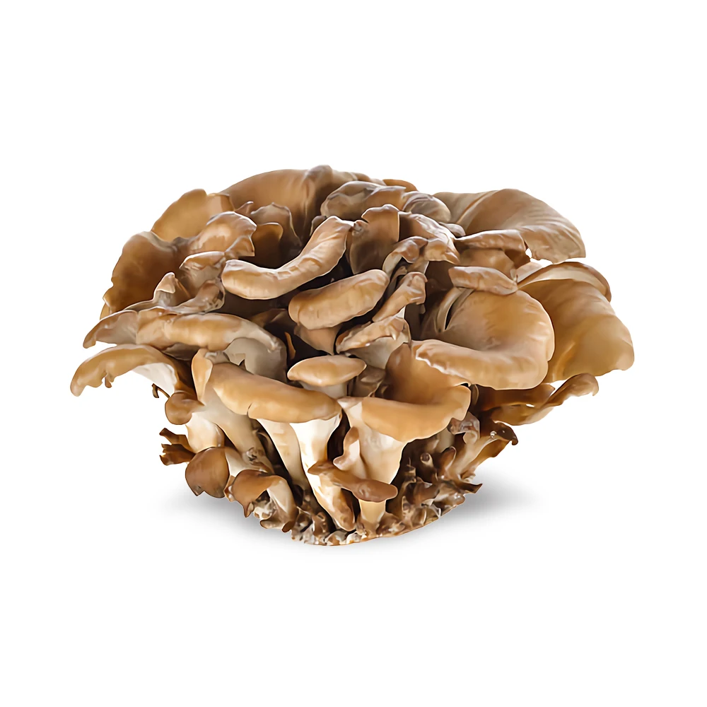100% чистый порошок экстракта MaitakeMushroom капсула Grifola Frondosa лидер продаж органический растительный экстракт лечебная добавка