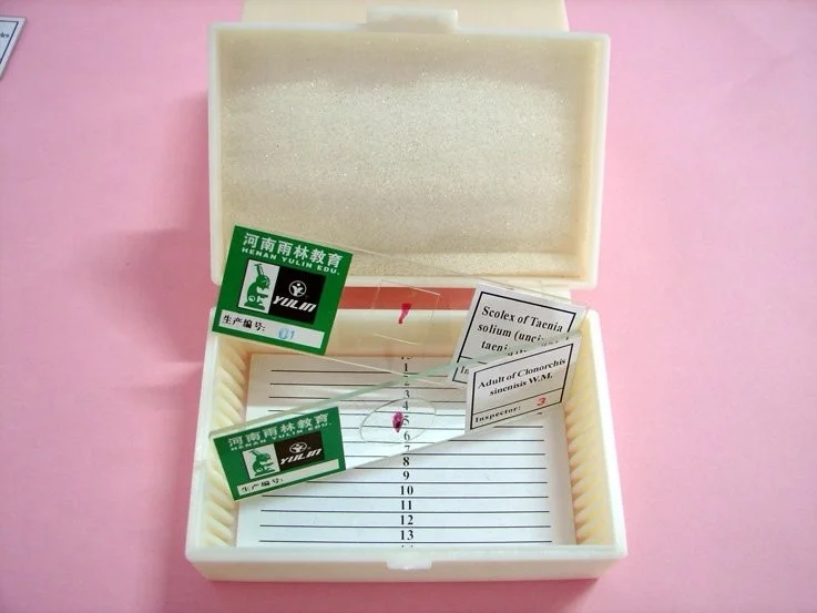 50 slides of medical science human teeth oral pathology prepared for university standards