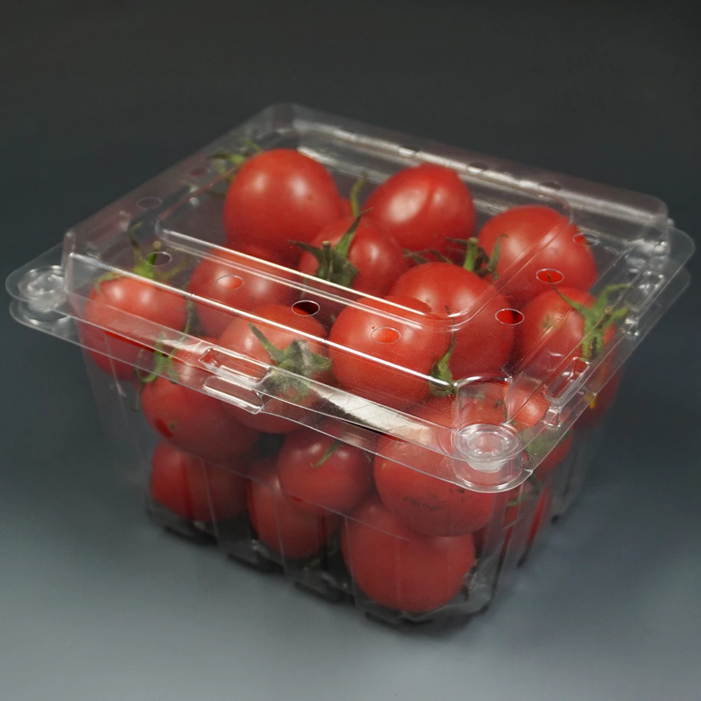  Chinese supplier kitchen product takeaway PET Plastic Fruit Clamshell food containers with lid