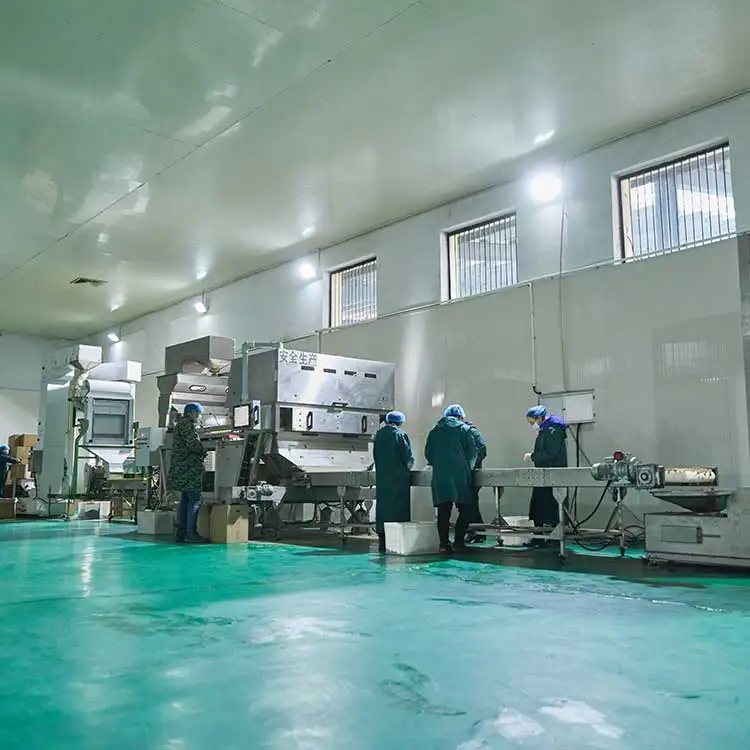 wallnuts dried kernel Xinjiang walnut kernels mix from China wholesale in bulk cheap price hot sale