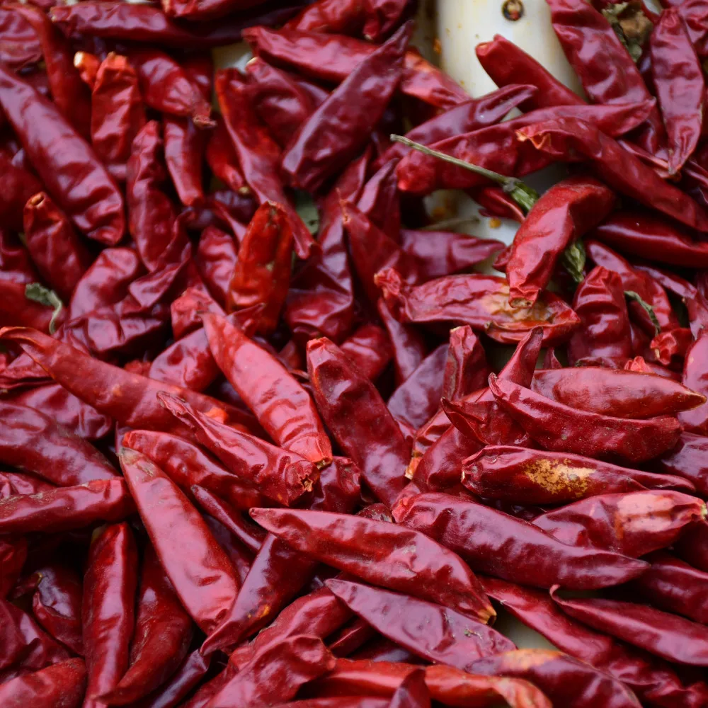 Оптовая продажа с завода высококачественные красные сухие красные чили Shanxi