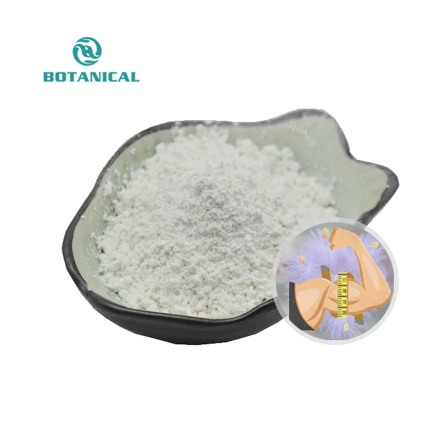 B.C.I ISO Factory 50%~98% Beta-ecdysterone Capsule 500 mg 20-hydroxyecdysone Powder Cas 289-74-7 in Cyanotis Arachnoidea Extract