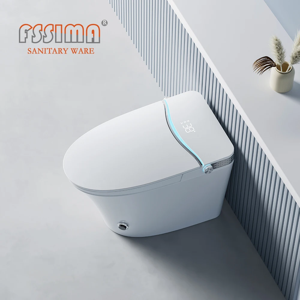 CE Europe ZN-3026 best electric intelligent automatic smart toilet Bathroom white one piece bidet toilet with remote control