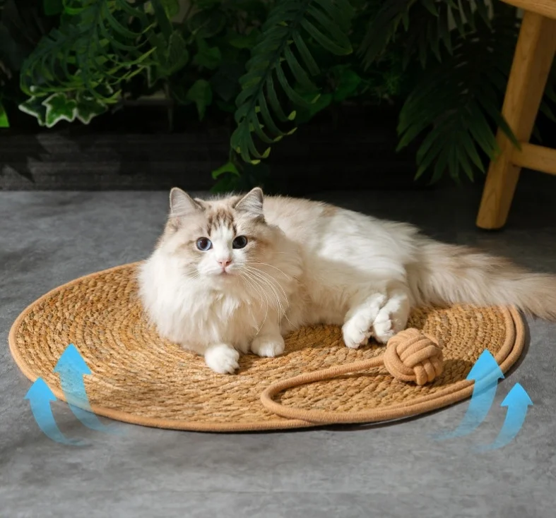 Rattan Cat Scratching Board Cat Scratching Pad Natural pushgrass mat four seasons round no crumbs pet cat supplies