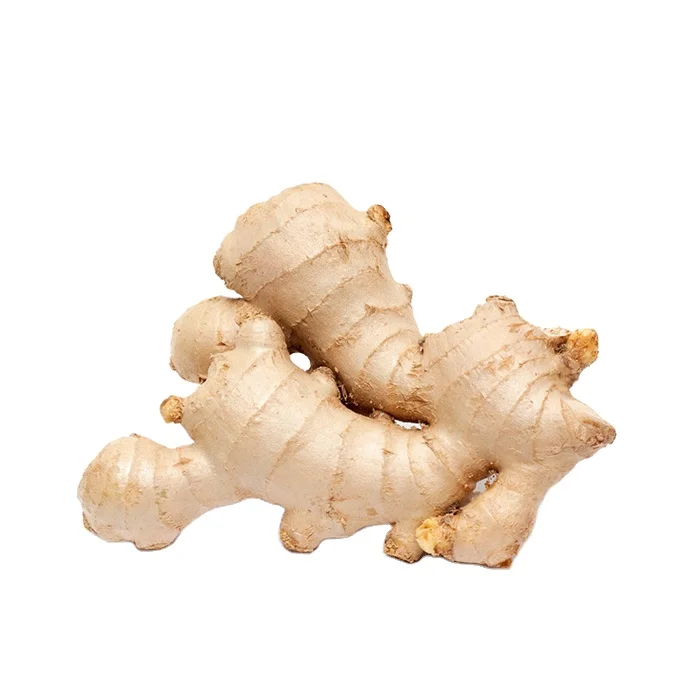 hot sale 80-150g Ginger wholesale for export with best quality & cheap price high quality fresh ginger with Global Gap & Haccp