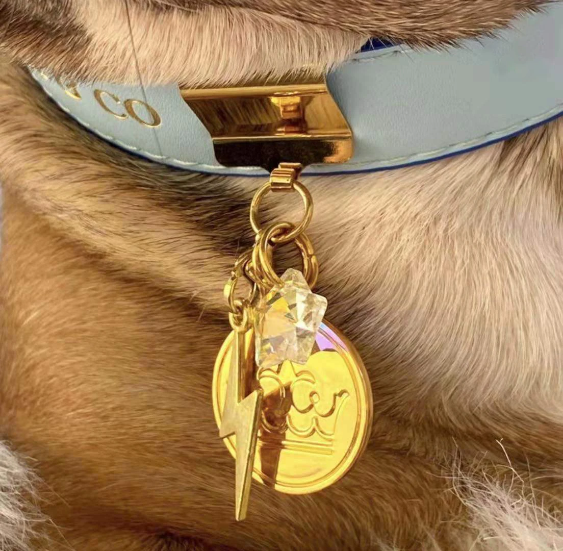 Custom Brass Dog Tag Clip