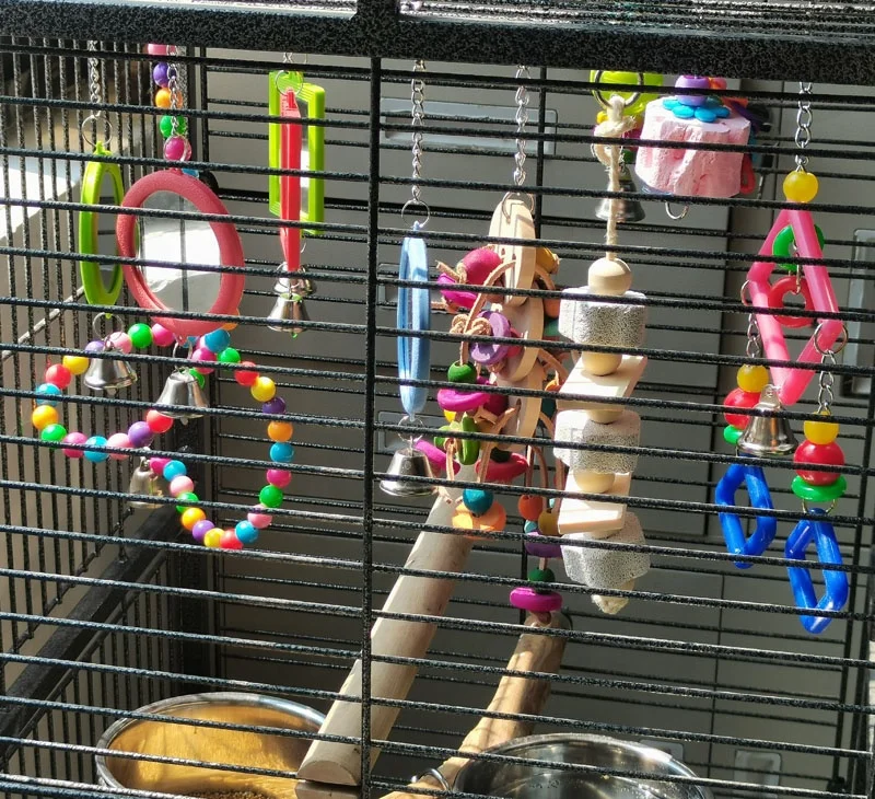 Natural wood blocks rodent rabbit hammster chew pumice star mineral Calcium grindstone claw grinding stone toy bird parrot toy