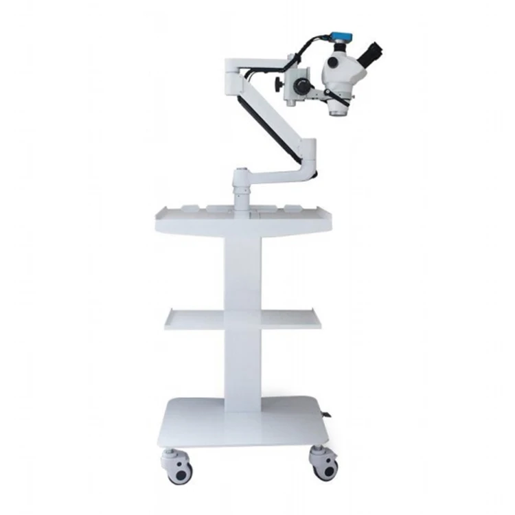 LED dental operating microscope in endodontics with camera