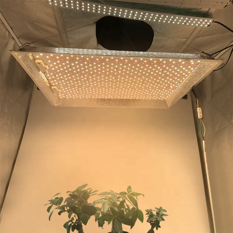 Gavita Pro 1700e 300w Waterproof 1000w Led Grow Light Full Spectrum Strip Hydroponic System Indoor Bar Grow Light Lm301h