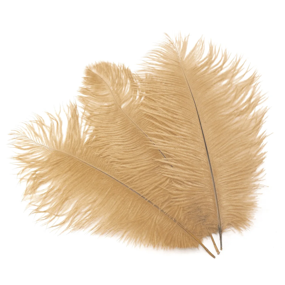 South africa bird Real orange art carnival costume Large feathers 35-40cm Plume millinery White ostrich Feather
