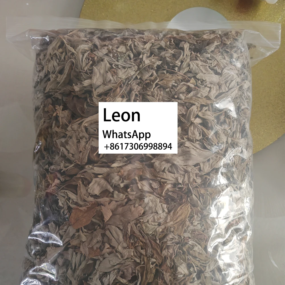 100% Natural Artemisia Argyi Sustainable Harvested Wildcrafted Mugwort Premium Organic Mugwort Leaves Dried Mugwort Leaves