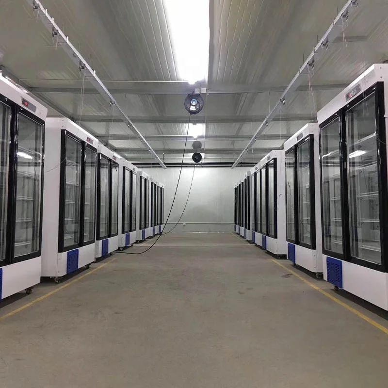 Biobase China J  -60 degree freezer BDF-60H218 LED display 220L Freezer for Laboratory