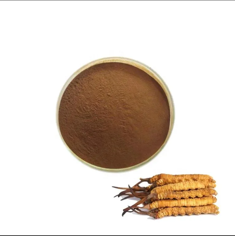 Cordyceps Sinensis Extract/yarsagumba extract/cordyceps extract