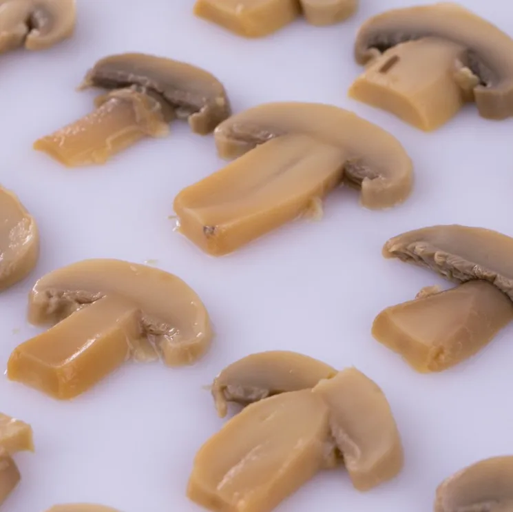 400g canned Chinese fresh mushroom slice PNS