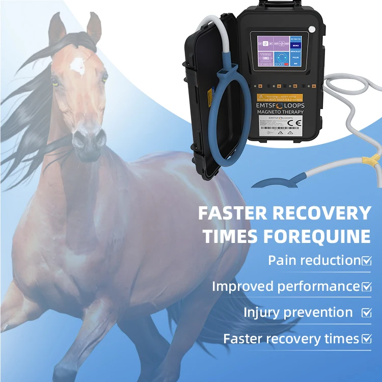 Horse magnetic therapy magneto loop pemf pulsed electromagnetic field therapy device pemf magnetic therapy device horse