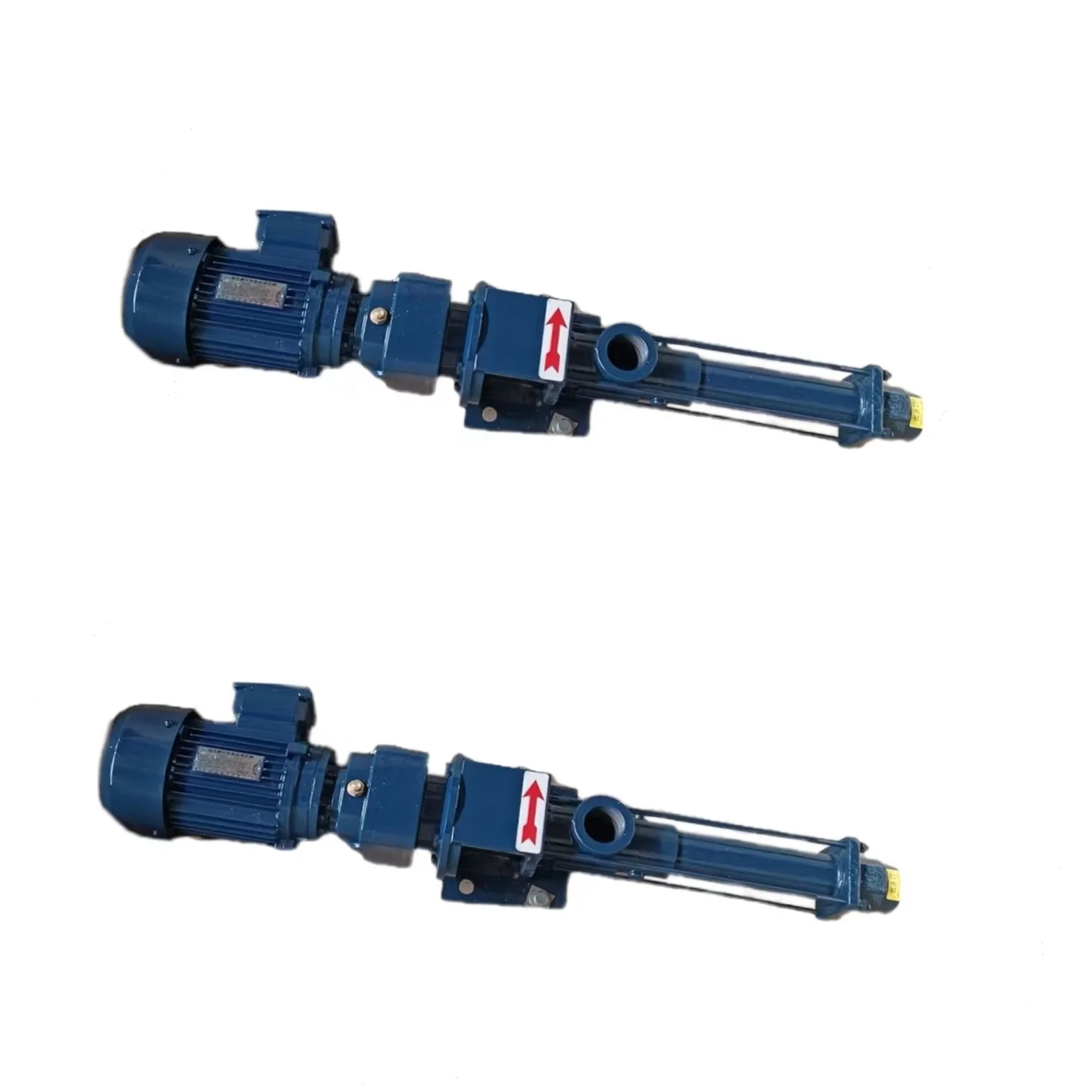 RoNice as Seepex Standard Series BN1-6L Progressing Cavity Pump/Single Screw Pump