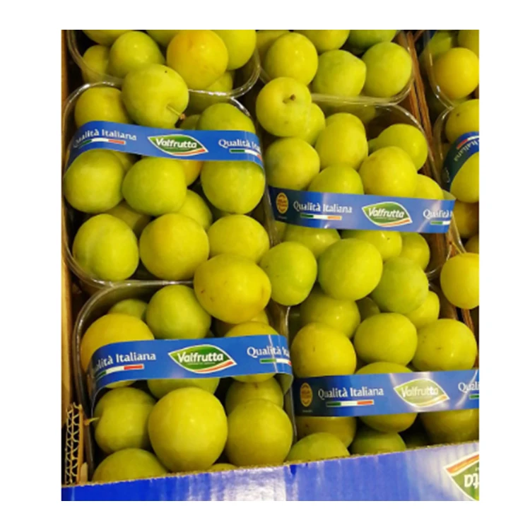 Good Guality Italian Yellow Fresh Plum Fruit