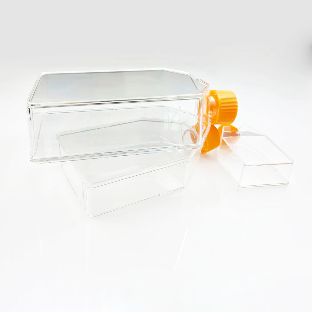 Лабораторные колбы для культивирования клеток доступны различные характеристики