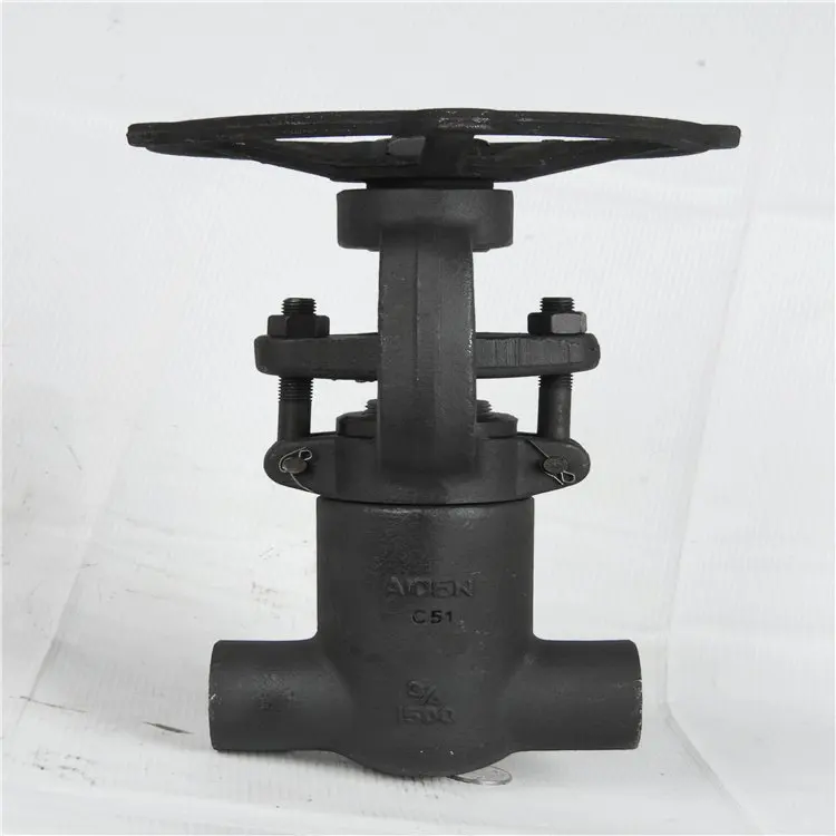 Threaded and SW Socket Weld Gate Valve Stainless Steel Forged Steel A105 F6a API 602 OS&Y CL150 Material Female Black Pipe OEM