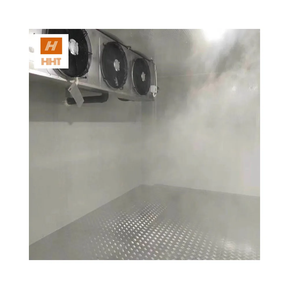 Холодильная камера для холодного хранения сливы/салат/капуста/помидор/каштана под ключ