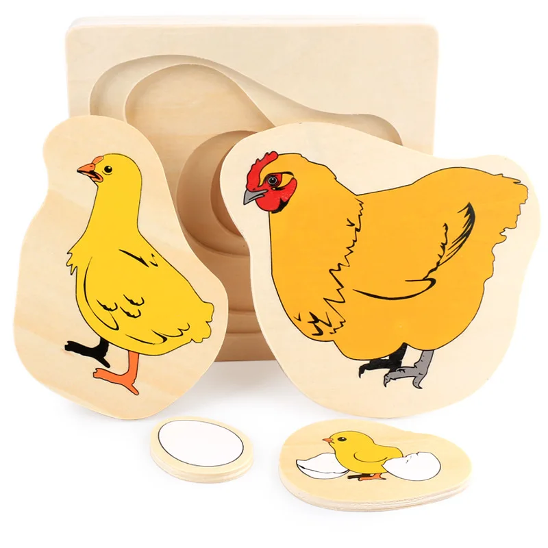 Wholesale Montessori Educational Development  Animals Plants Growth Process 3D Puzzles Life Cycle Toys For Kids