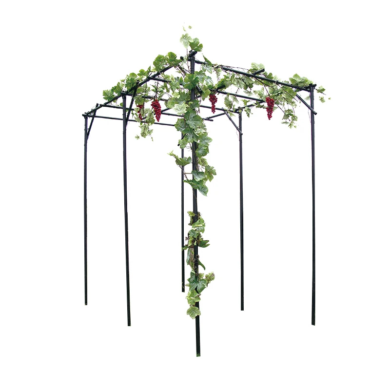 Garden Agri-pipe Large Fruit Vegetable Climbing Plants Garden Trellis Walk-in Gap Fruits Cage