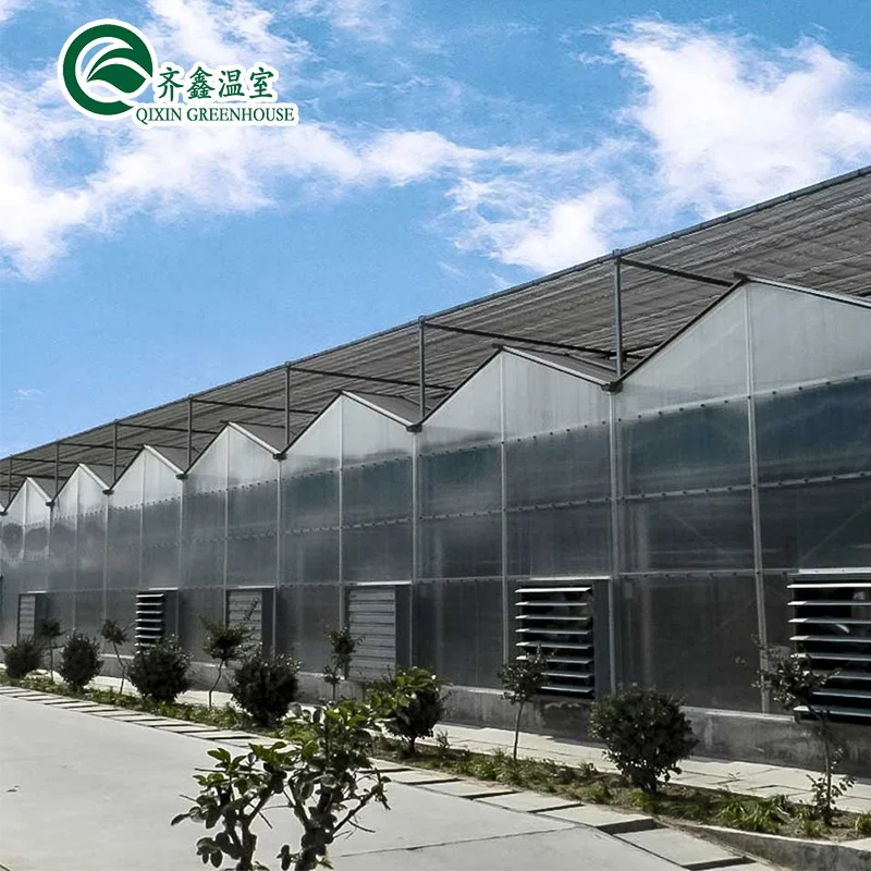 pc sheet  Cover Material and  Product name High Quality agriculture greenhouse