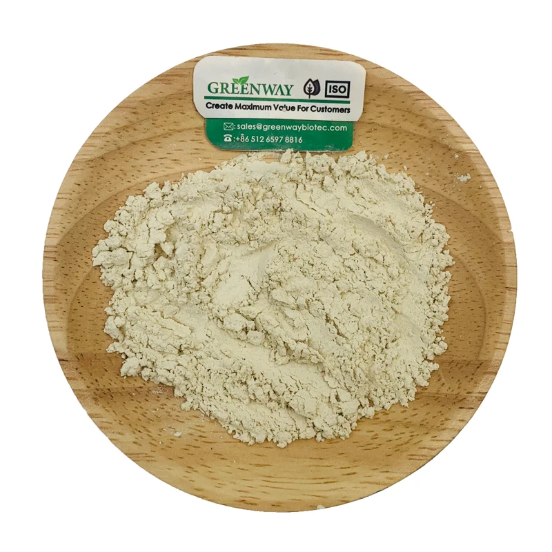 High Quality Hydrogenated Food Grade Soy Lecithin Powder