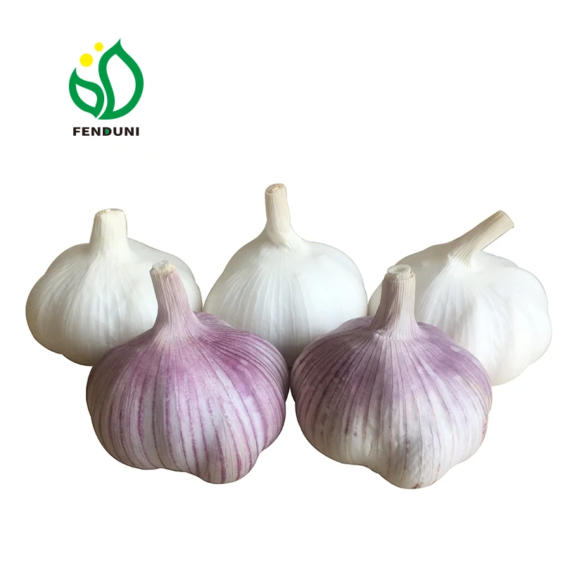 Chinese Pure White Garlic/ Bawang Putih , Hot Sale  New Crop