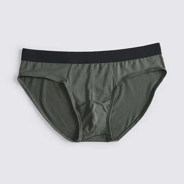 Wholesale Men's Micro Modal Briefs Men's Underwear No Fly Covered Waistband Silky Touch Underpants Woven Adults for Men