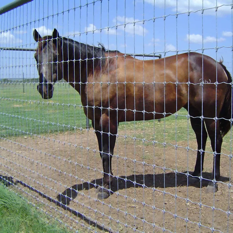 Heavy-Duty Galvanized Metal Fixed Knot Woven Fencing Wire Hog Wire Farm Field Fence for Livestock Metal Mesh Fencing Wire