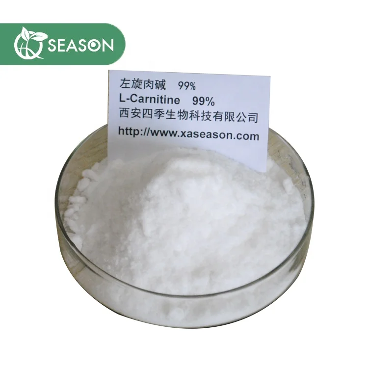 Manufacturer Supply Competitive Price L Carnitine Powder