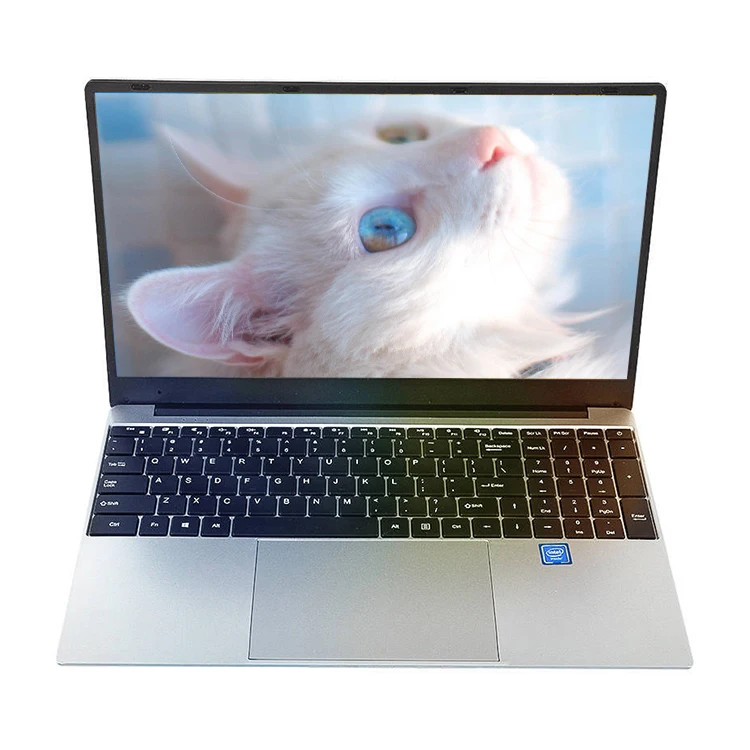 Factory 15.6 Inch Portable Laptops DDR4 8GB Storage 128GB Core N3350/J3355 Computer Lcd Screen Netbooks Custom Pc Laptop