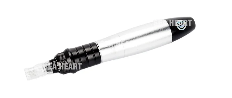 Hot Sale Derma Pen 2022 Microneedle Electric Dermapen A6 R1