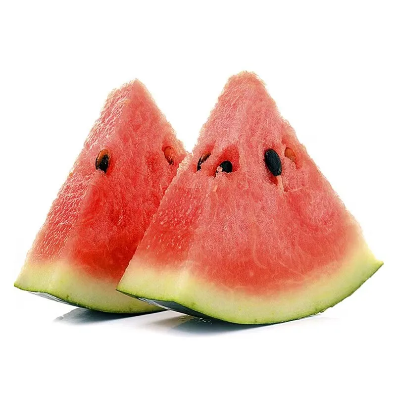 Organically Cultivated Fresh Watermelon Seeds Top Quality Sweet and Juicy Extra Large Watermelon 15-18kg