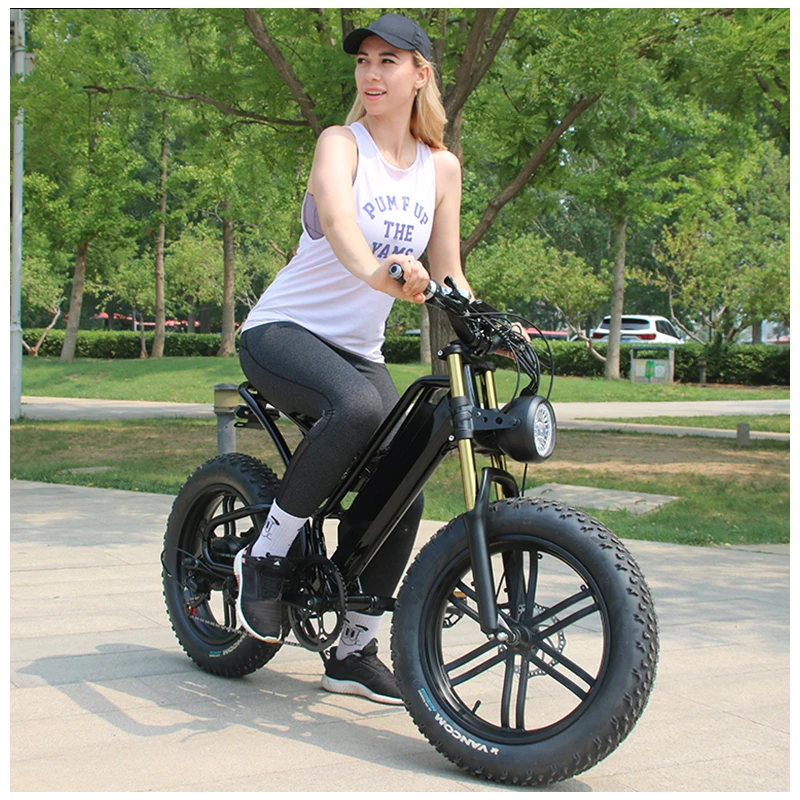OEM 20 Inch 48V 750W Fat Tire Electric motorcycles Mountain dirt Bike Lithium Battery  hub motor  E-Bike Bicycle bike adult