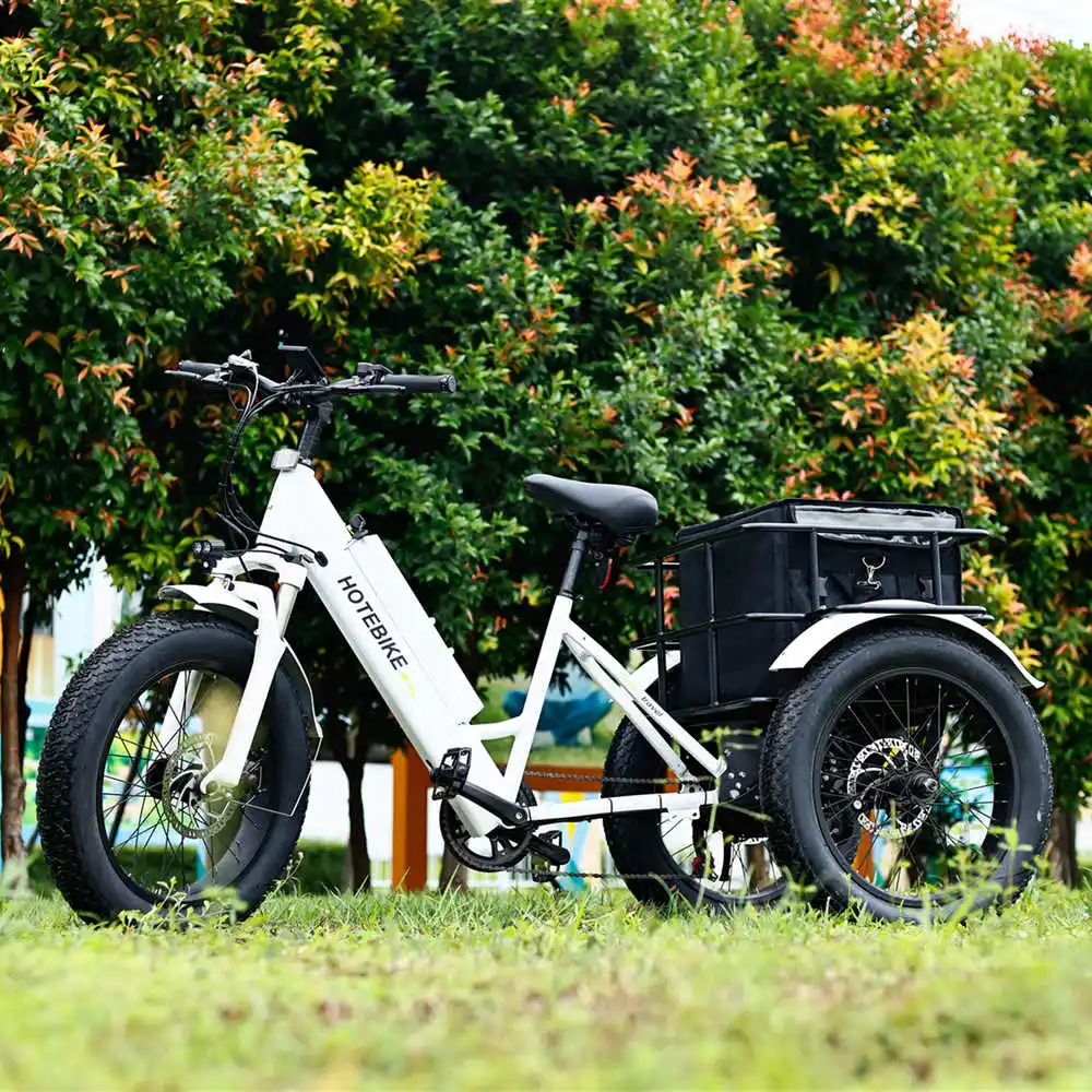 Tricycle electric 3 wheel electric tricycle motorcycle 500w 3 wheels electric bike with roof electric tricycle for sale