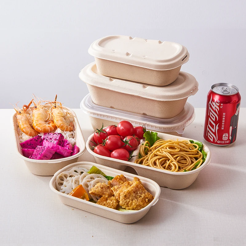 Custom Printing Biodegradable Sugarcane Bagasse Oval Food Box with Pulp Lid for Takeaway