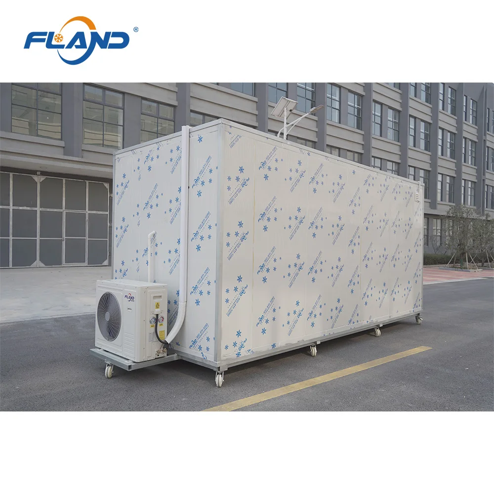 China good hinged door cold room reefer frozen room cold storage freezer room