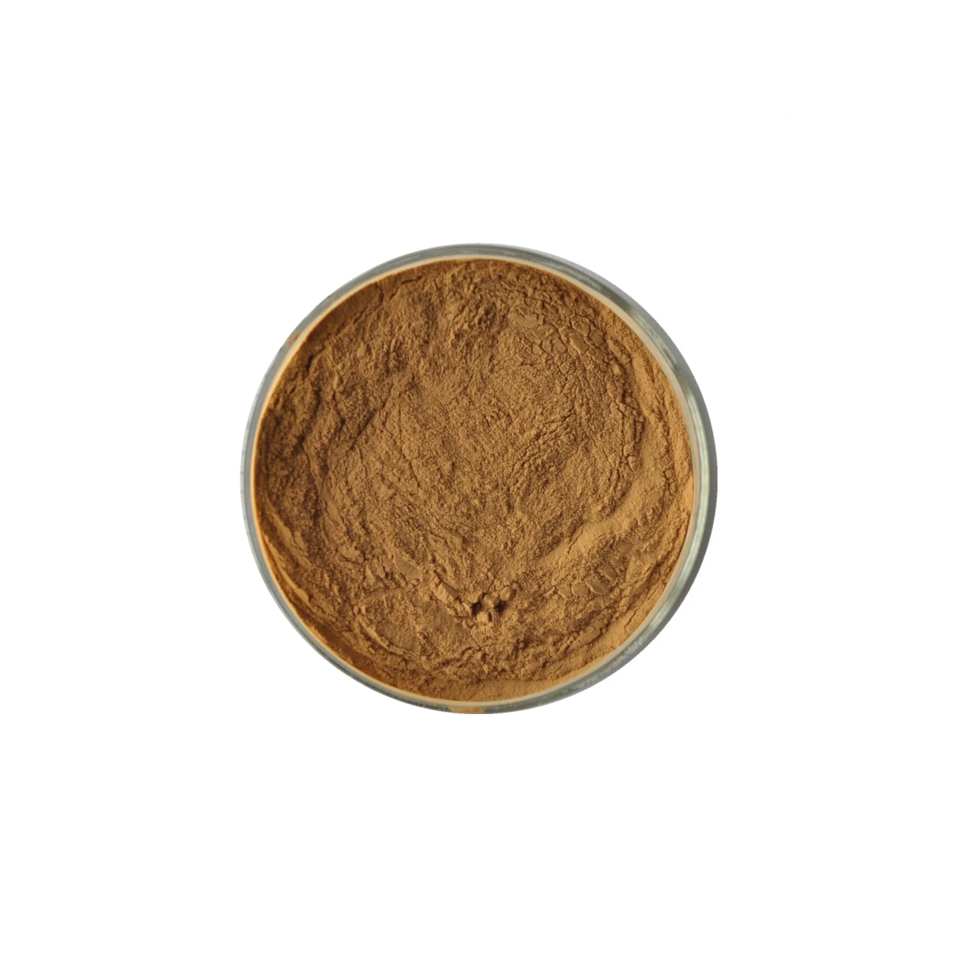 Wholesale dendrobium officinale dendrobium candidum Extract