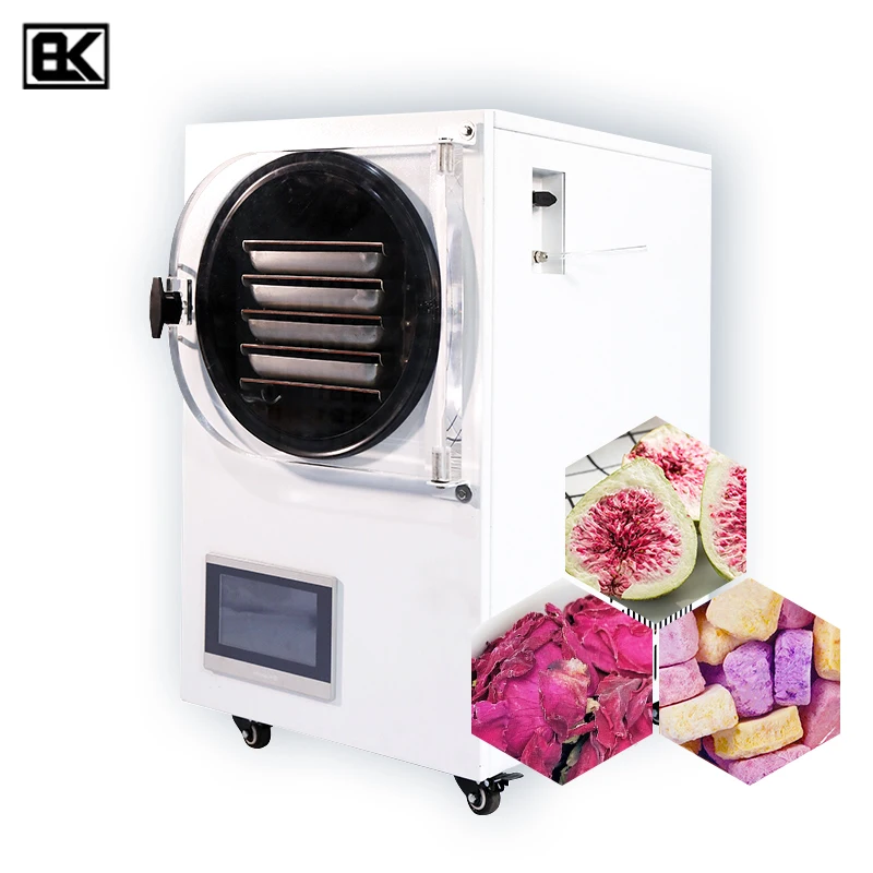 Reasonable Price freeze dried instant tea longan radish juice powder cabbage fruit potato mini home freeze drying machine//