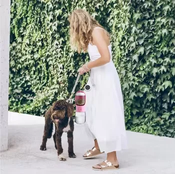 PP material portable pet water bottle and food container Portable water dispenser 550ml dog water bottle