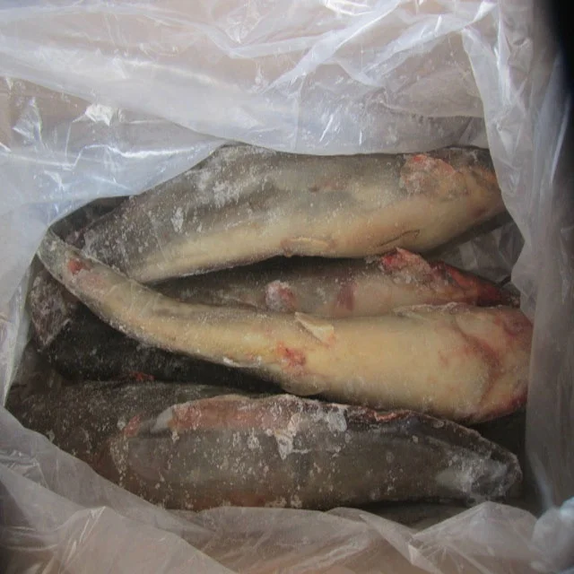 High quality frozen whole round Catfish (including dry catfish)